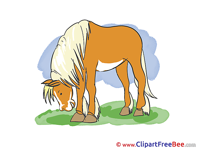 Download Horse Illustrations