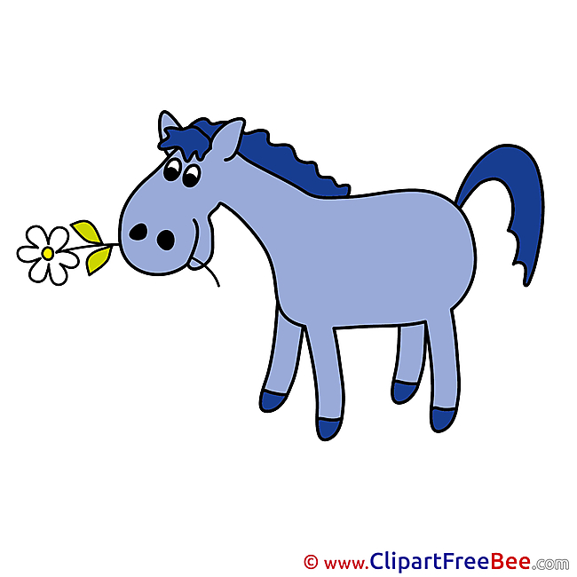 Flower Pics Horse Illustration
