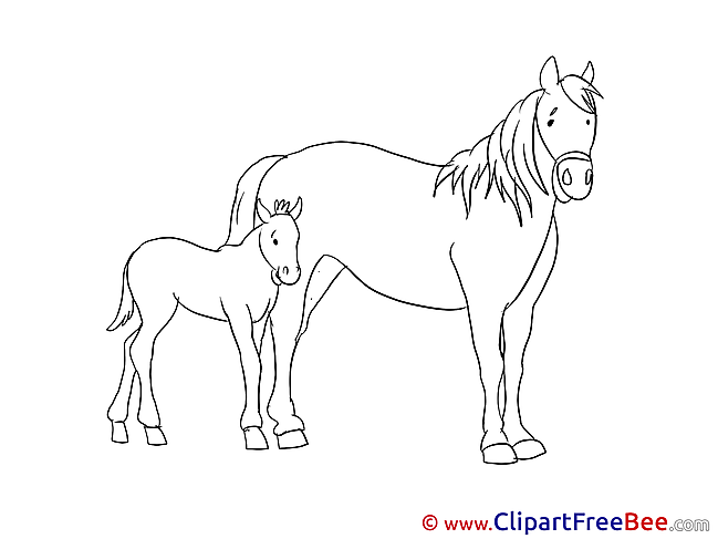 Foal Horse Clip Art for free