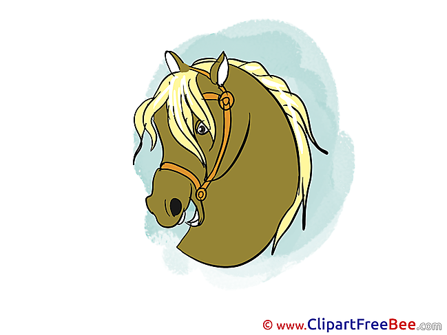 Head Clip Art download Horse