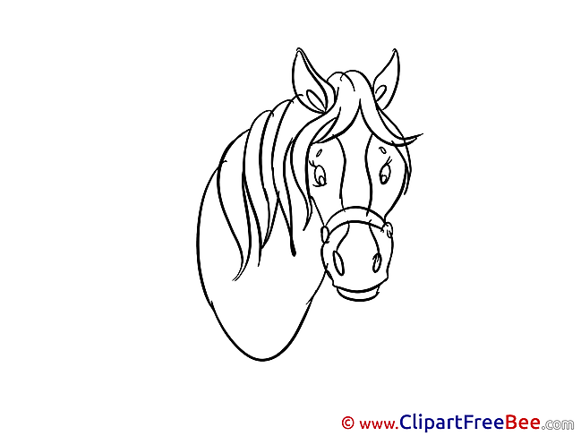 Head Horse download Illustration