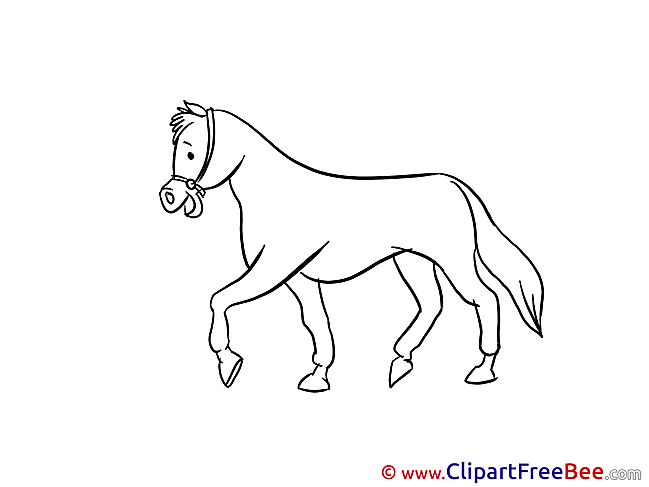 Horse free Images download