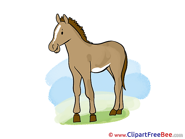 Mare printable Horse Images