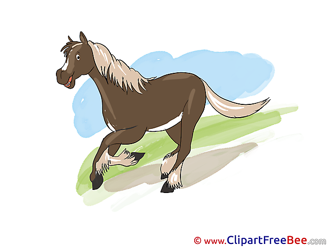 Nature Pics Horse Illustration