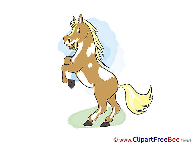 On hind Legs download Horse Illustrations