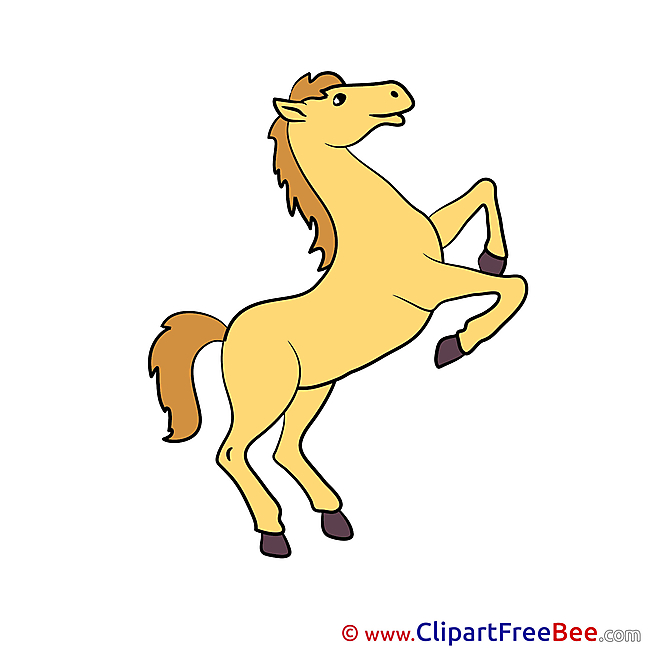On Legs printable Horse Images