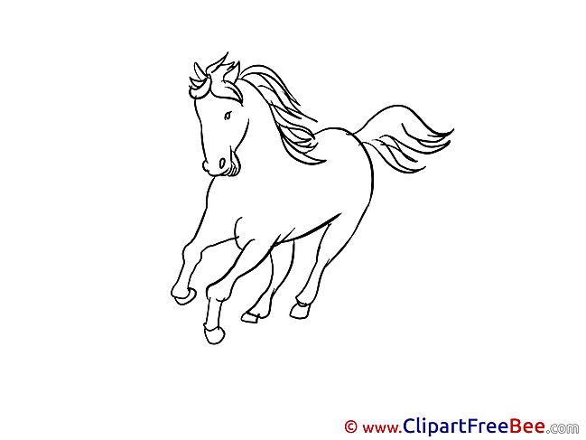 Pics Horse Illustration