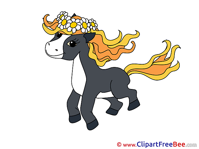 Pony Horse download Illustration
