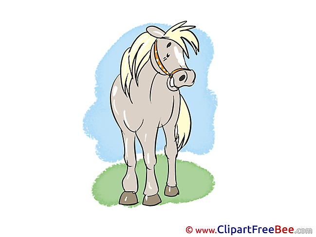 Smiling Horse Illustrations for free
