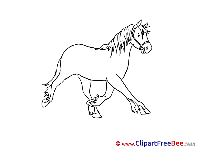 Stallion printable Illustrations Horse
