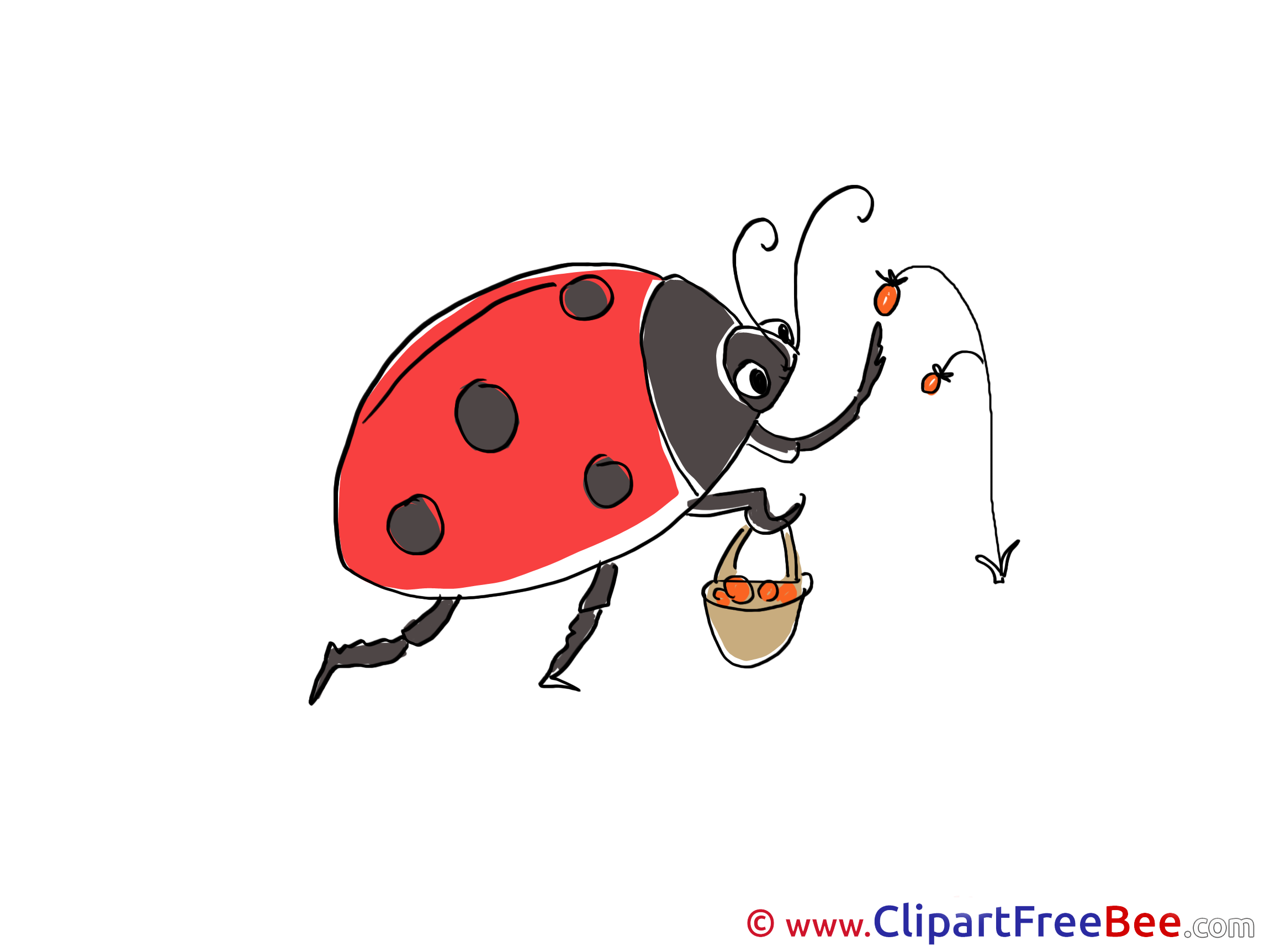 Berries Ladybug Clipart free Image download