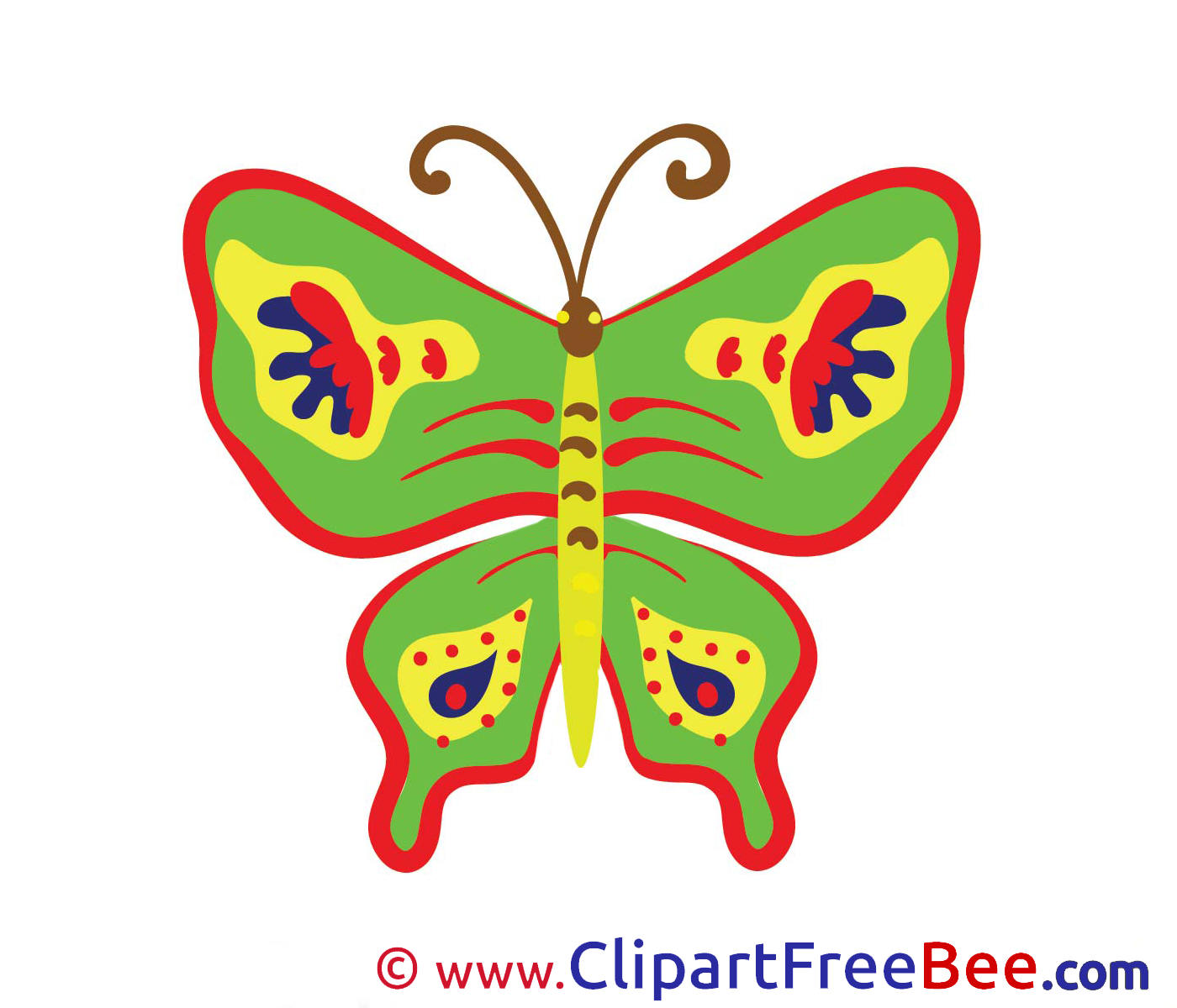 Butterfly Images download free Cliparts