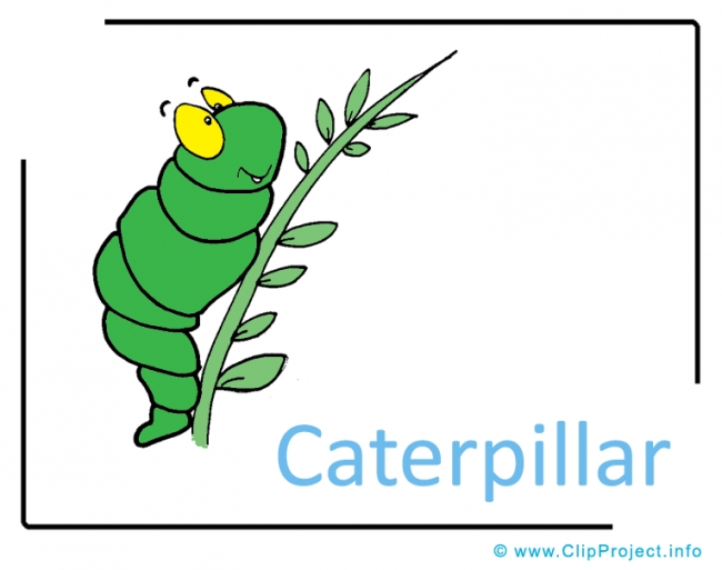 Caterpillar Clipart Image free - Insects Clipart Images free