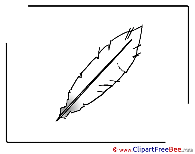 Feather Clipart free Illustrations