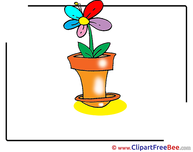 Flower Images download free Cliparts