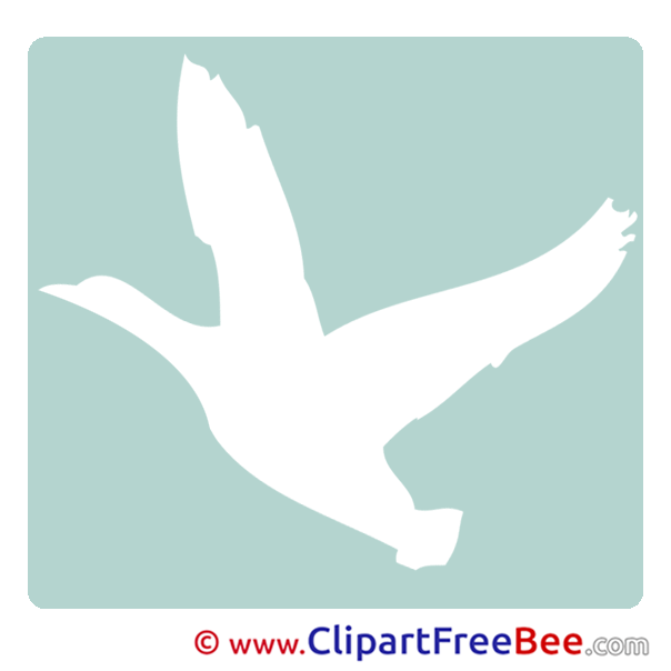 Bird Clipart Pictogrammes Illustrations