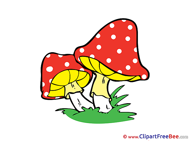 Amanita Mushrooms Images download free Cliparts