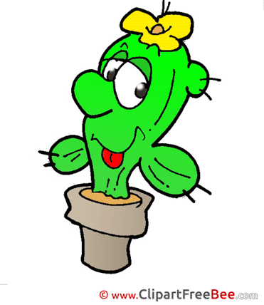 Cactus Clipart free Image download
