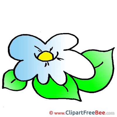 Flower download Clip Art for free