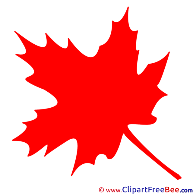Maple Leaf Pics download Illustration