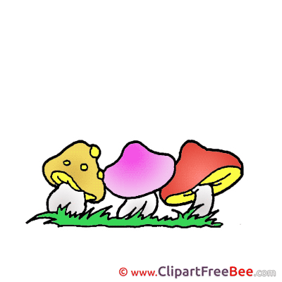 Meadow Mushrooms Clipart free Illustrations