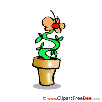 Pot Flower Images download free Cliparts