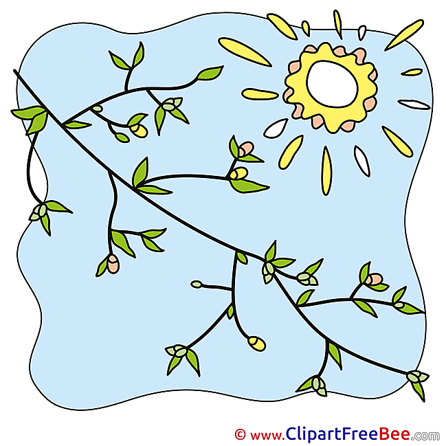 Branch Sun Sky Clipart free Image download