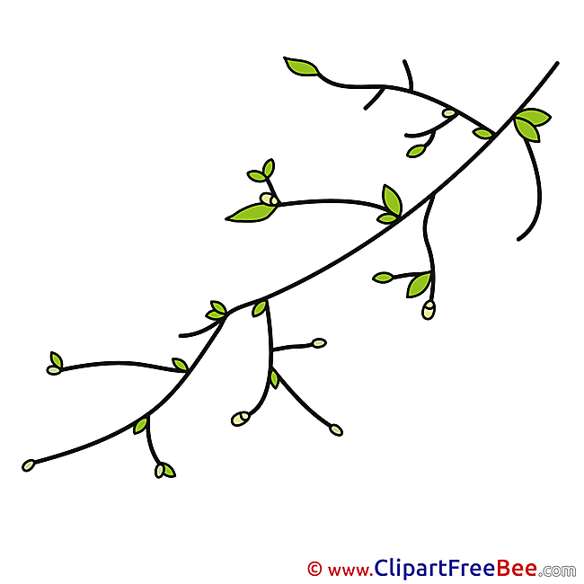 Buds Branch Spring free Cliparts for download