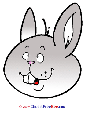 Head Rabbit printable Images for download