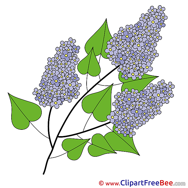 Lilac free Cliparts for download