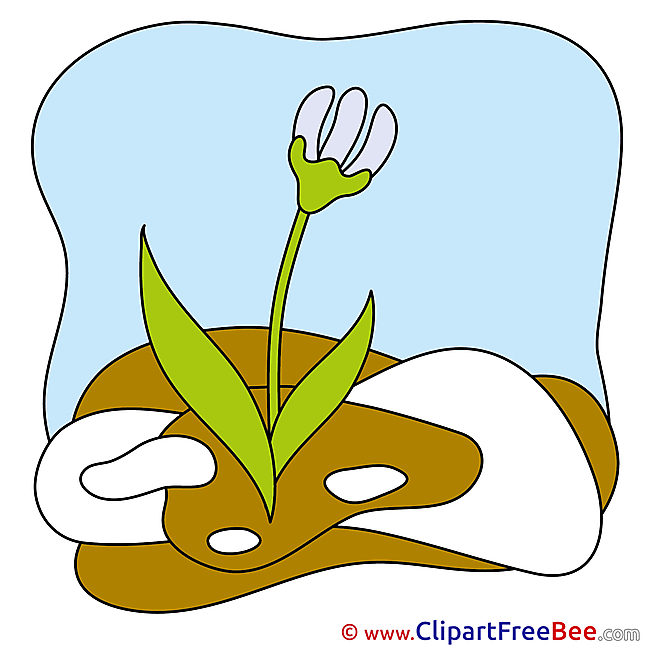 Snowdrop Flower free printable Cliparts and Images