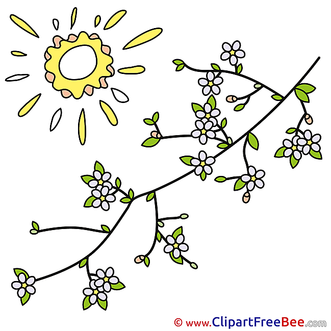 Sun Flowers download Clip Art for free