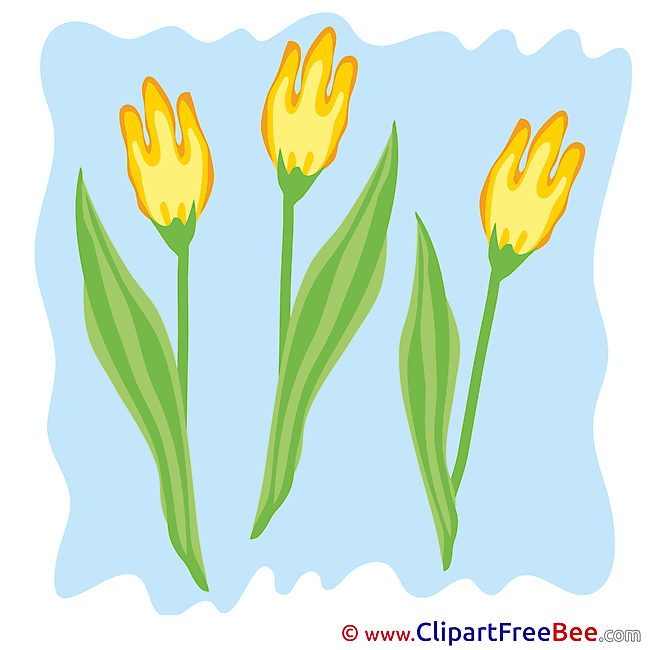 Tulips Clip Art download for free