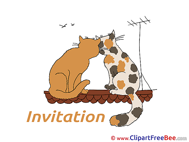 Roof Cats Invitations Wish Card