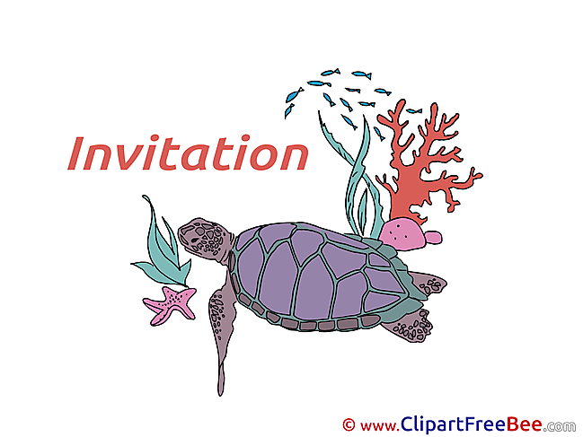 Turtle Greeting Card download Invitations