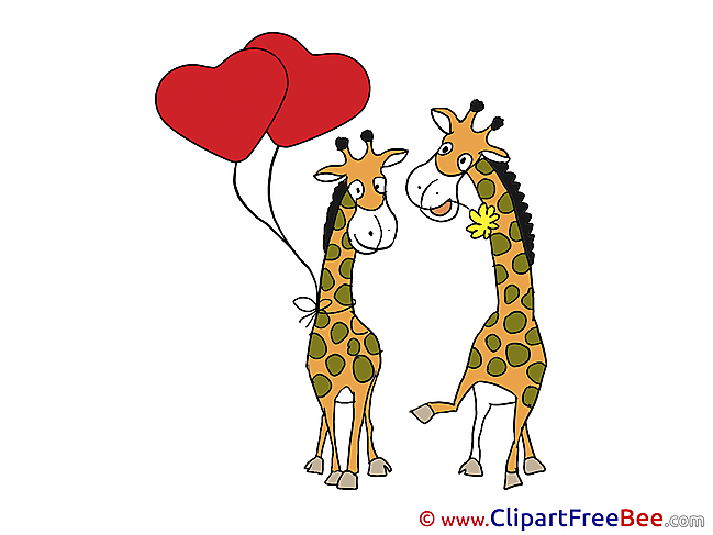 Giraffes Balloons Pics Valentine's Day free Image