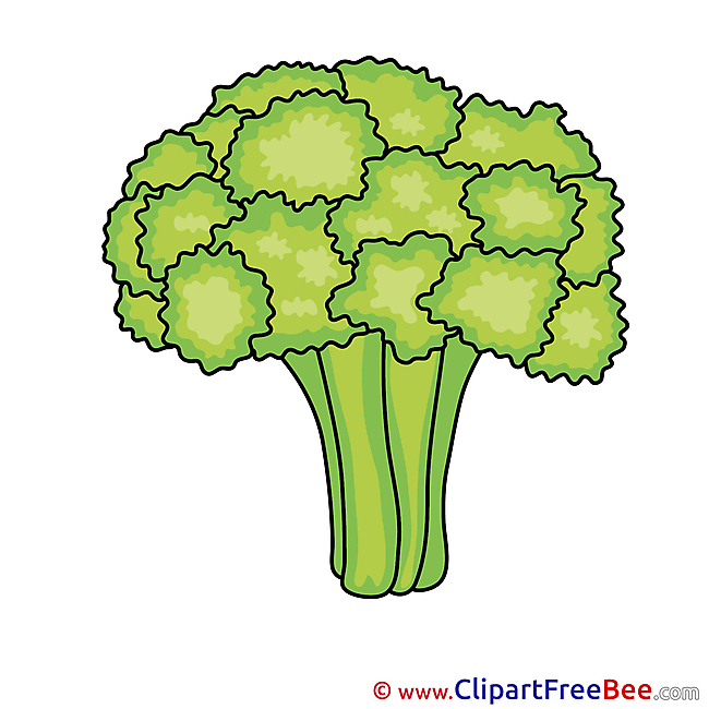 Broccoli Pics free download Image