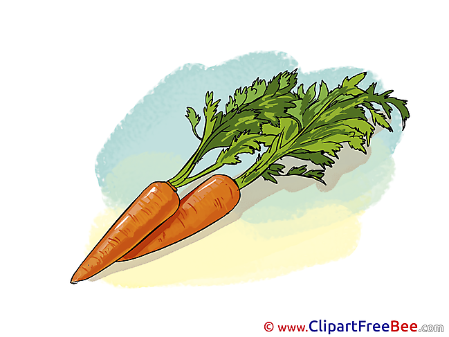 Carrots Pics free download Image