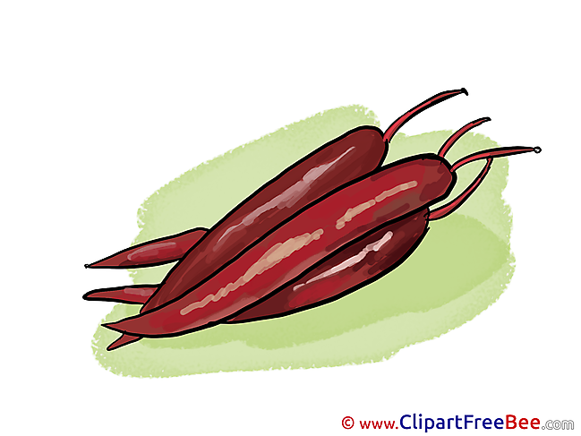 Chili Peppers Clip Art download for free