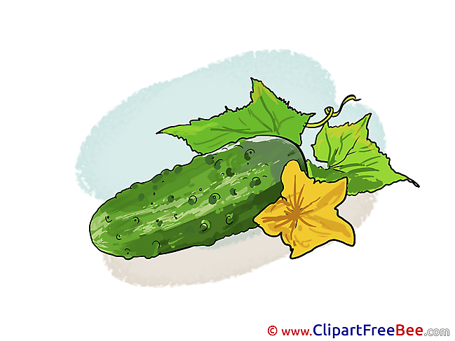 Cucumber printable Images for download