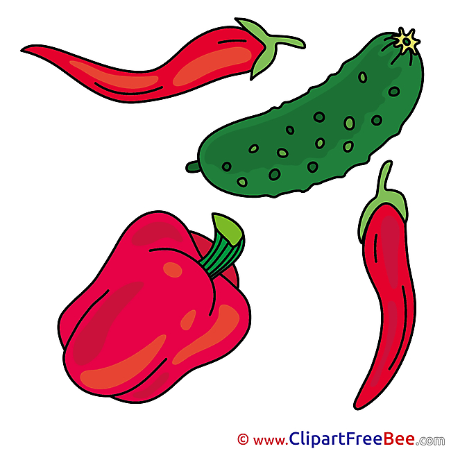 Illustration Pepper Cucumber Clipart free Illustrations