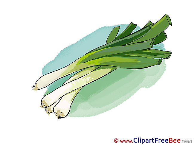 Leek Images download free Cliparts