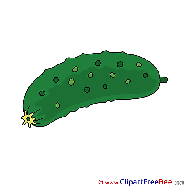 Picture Cucumber Clipart free Illustrations