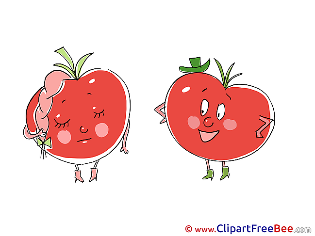 Picture Tomatoes Pics free Illustration