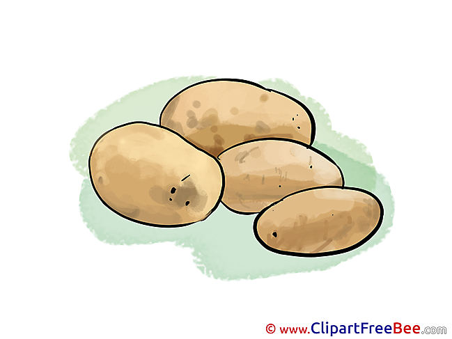 Potatoes Pics free download Image