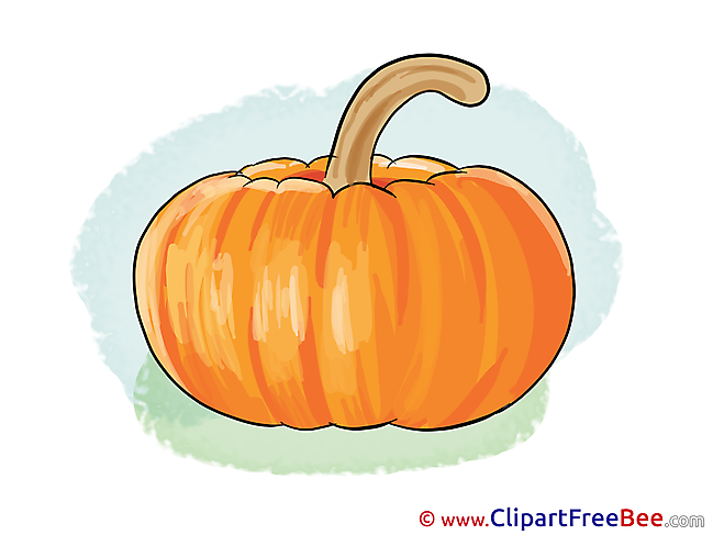 Pumpkin Pics free Illustration
