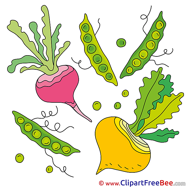 Veggies Turnip Peas Clipart free Image download