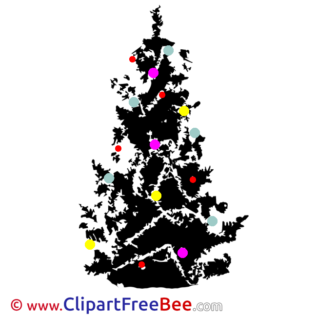 Black Christmas Tree Pics Winter free Image