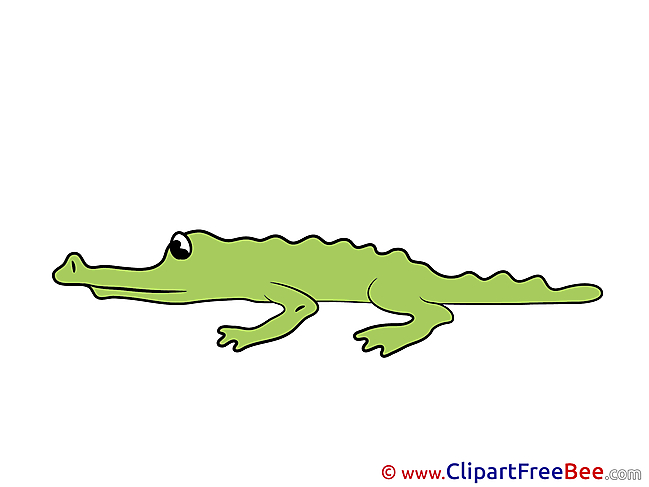 Alligator Clipart free Illustrations