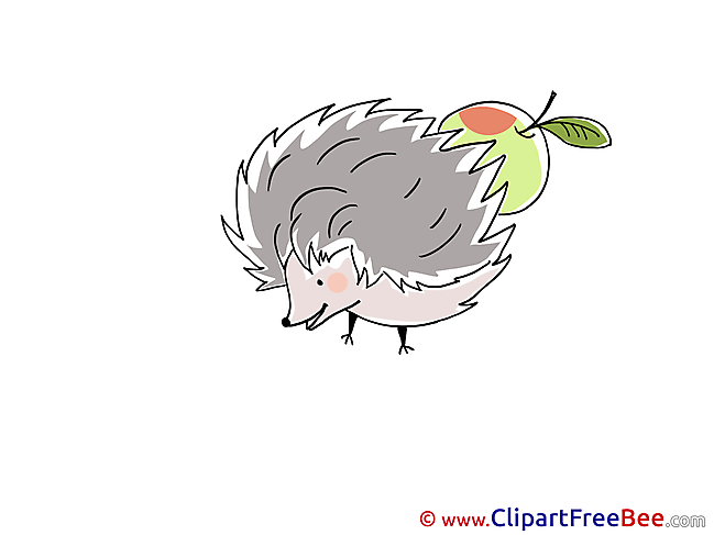 Apple Hedgehog Clipart free Image download